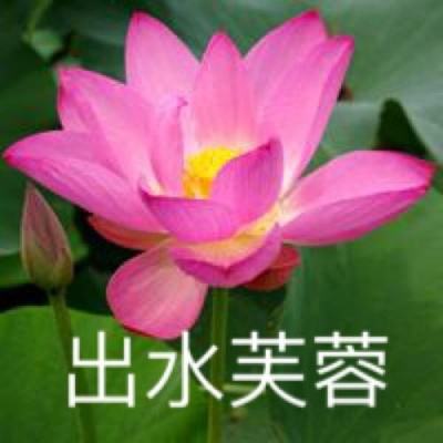 六角合消除正版下载